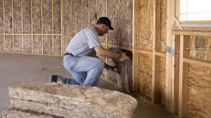 Best Insulation for New Construction  in Seminole, FL